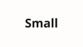 Small Luggage