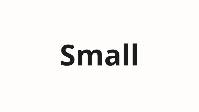 Small Luggage